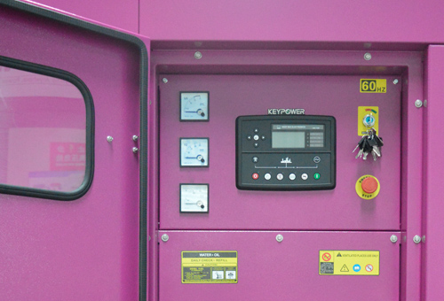 pink diesel generator5.jpg